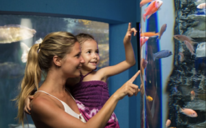 Interactive Aquarium Cancún Entry Ticket ota2