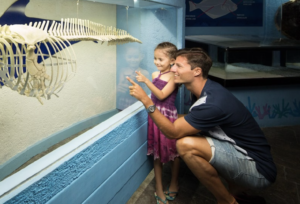 Interactive Aquarium Cancún Entry Ticket ota3