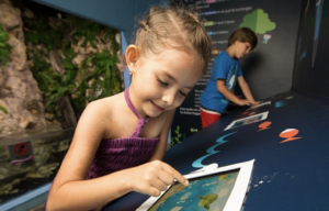 Interactive Aquarium Cancún Entry Ticket ota5